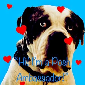 💙 Posh Ambassador 💙